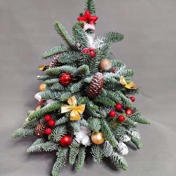 Новогодняя елочка