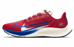 Кроссовки Nike Pegasus 37