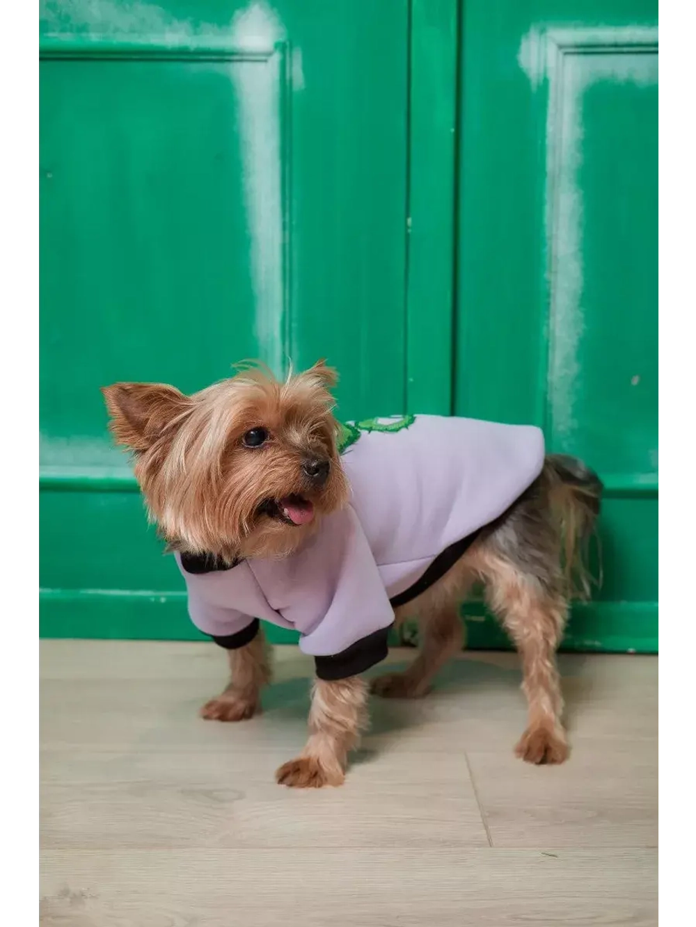 Толстовка для собак и кошек