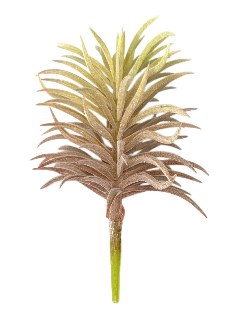 Суккулент 122 нежно-розовый