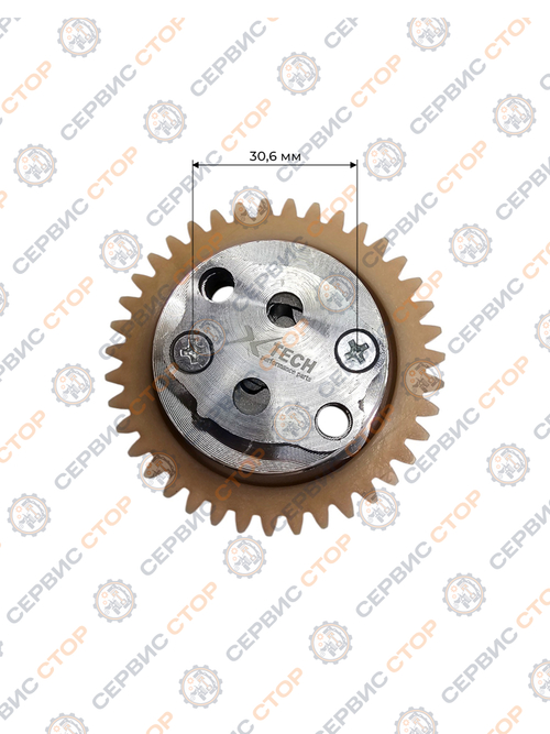 Насос масляный в сборе 165FMM (CBB250) X-TECH