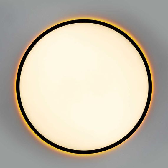 Потолочный светильник Citilux NORMA CL749501