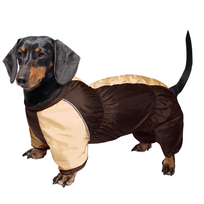 Комбинезон демисезонный "такса" s, коричнево-бежевый, 36*54см, gamma