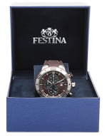 Мужские наручные часы Festina F16667/3