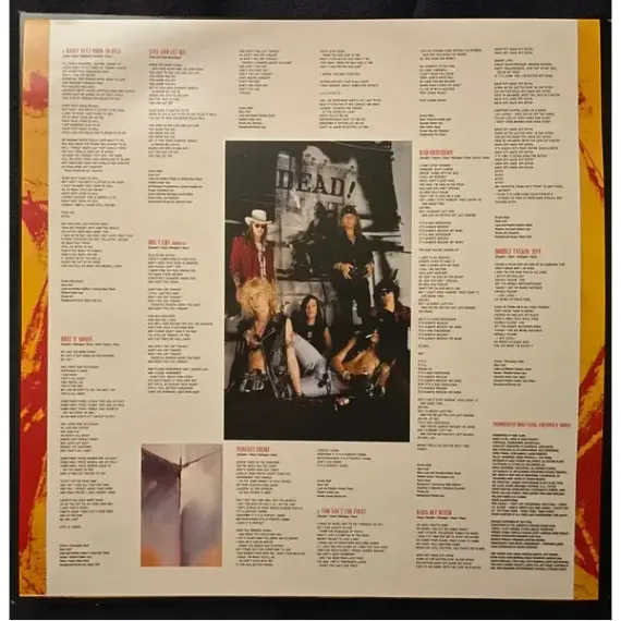 Guns N Roses - Use Your Illusion I Remastered 2022 LP