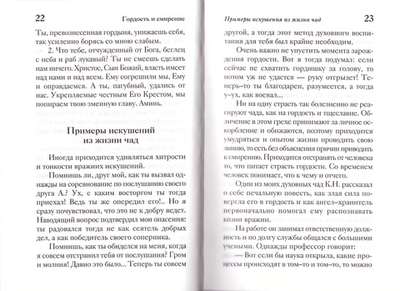 Плоды любви и покаяния. Схиигумен Савва