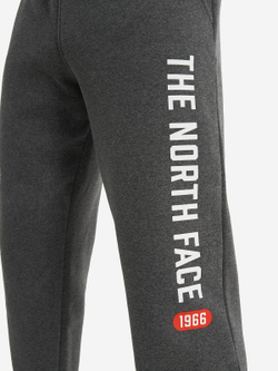 Брюки спортивные мужские THE NORTH FACE M PANT VARSITY GRAPHIC