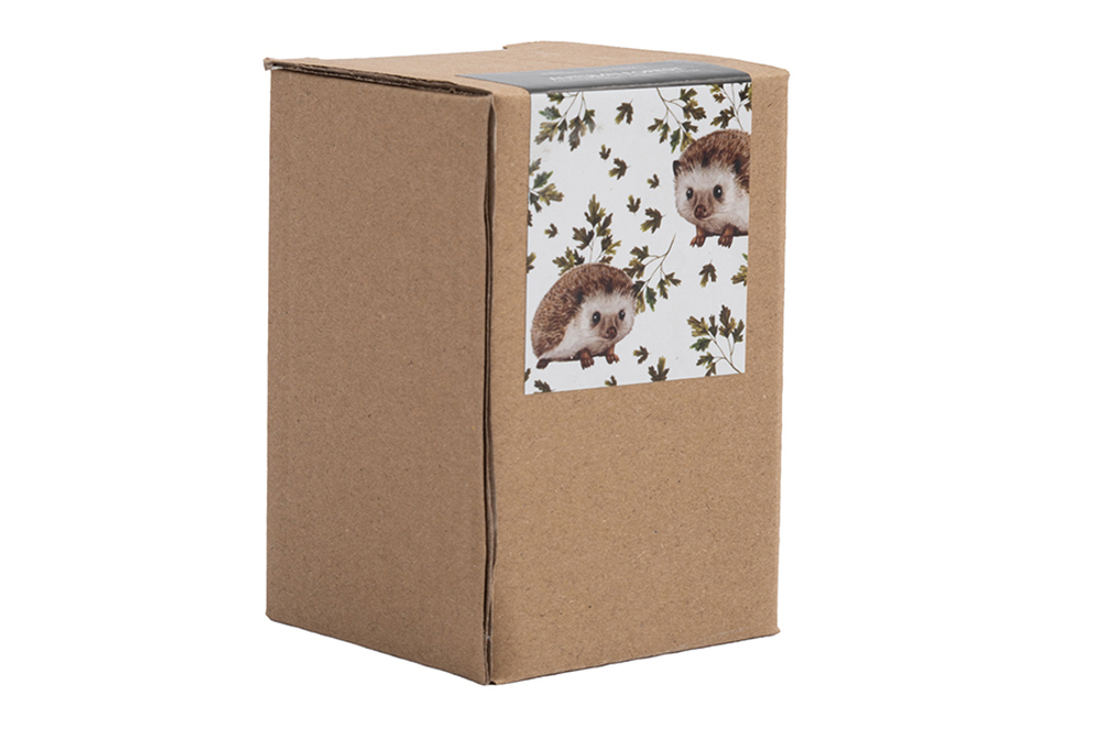 Емкость для соли или перца 5см Anna Lafarg Autumn forest Еж с листом