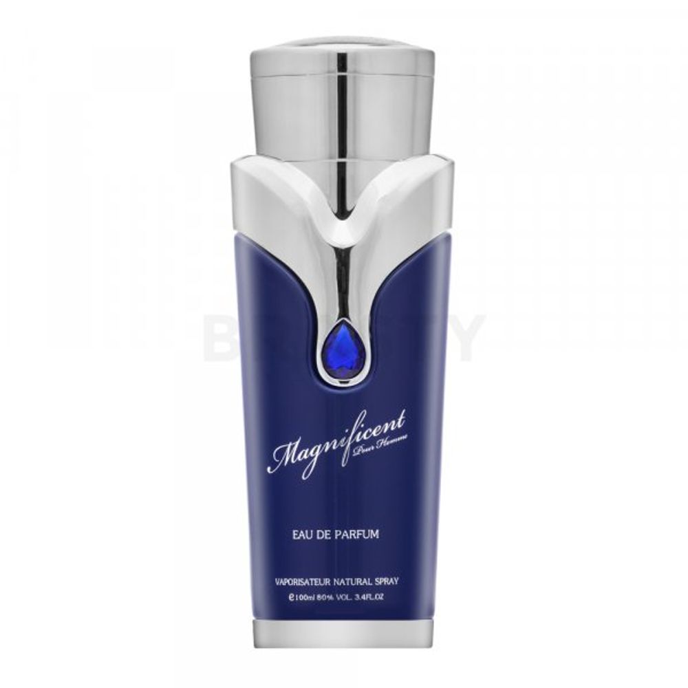 Armaf Magnificent Blue Pour Homme EDP M 100 ml