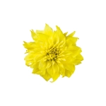 Цифровое панно ID Wall YELLOW FLOWER