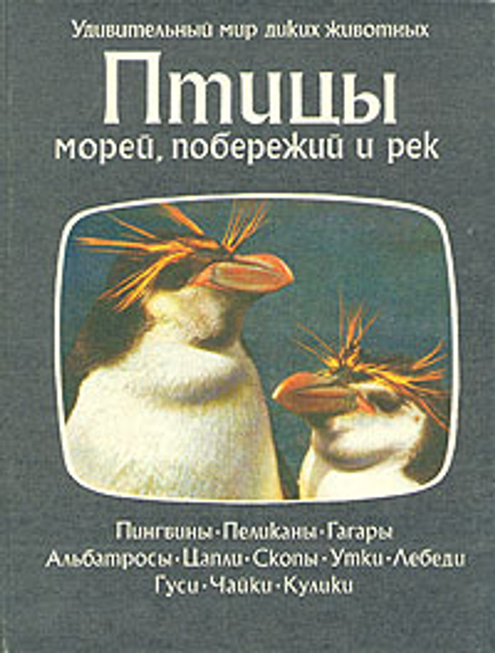 Птицы морей, побережий и рек