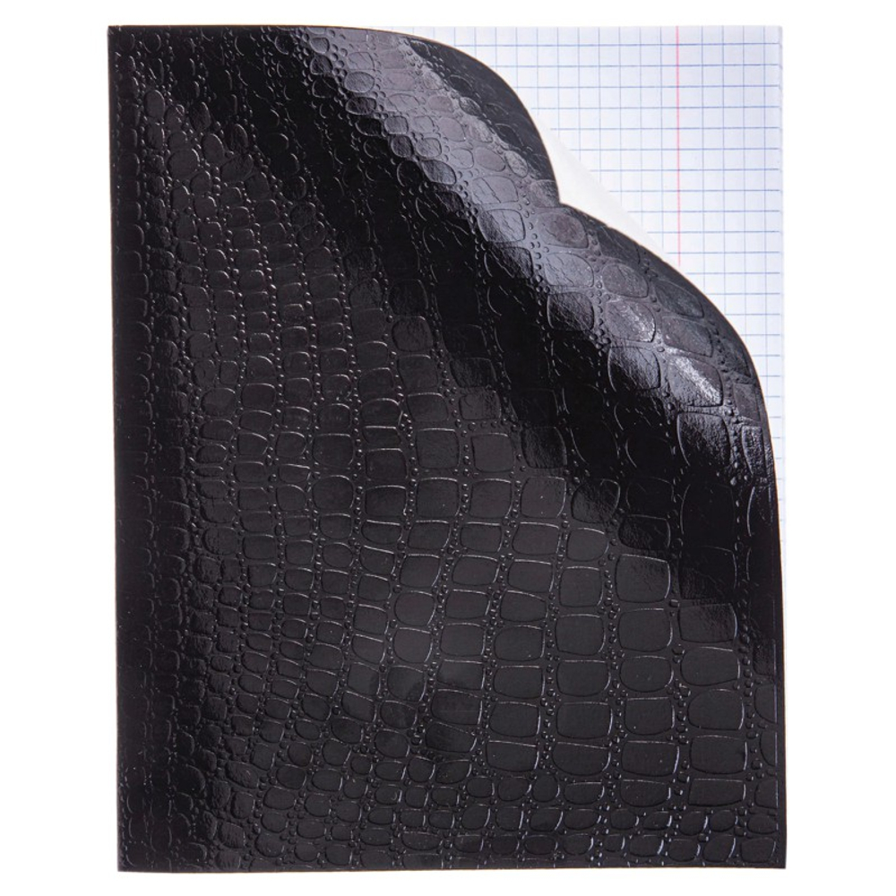 Тетрадь общая Hatber "Metallic Croco", А5, 48 листов в клетку, обложка бумвинил, на скрепке, черный