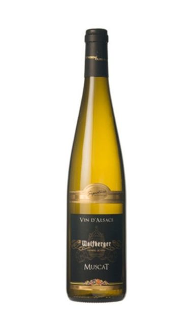 Вино Вольфберже Мускат Эльзас белое полусухое 0,75л