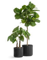 Кашпо TREEZ ERGO - серия Jet - Цилиндр - Антрацит