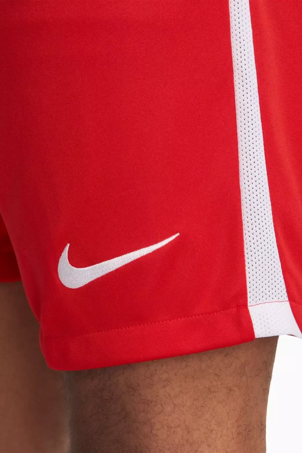 Шорты Nike Dri-Fit League 3