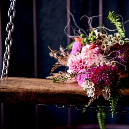 Сливовый георгин (Plumberry Dahlia)