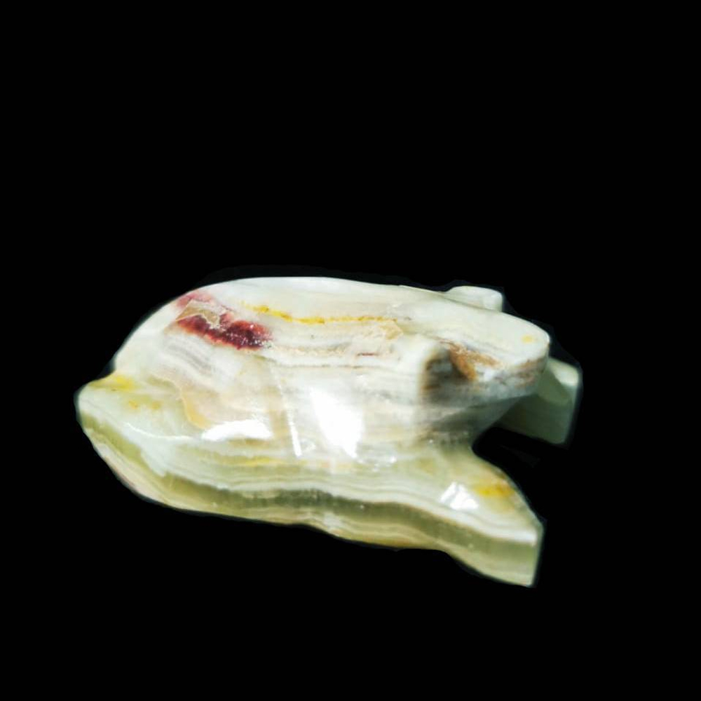 Лягушка оникс асс.