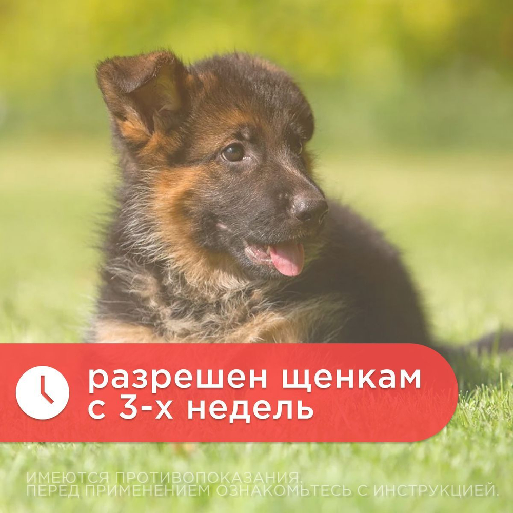 Таблетки от гельминтов Дирофен для кошек и собак 6табл по 200мг