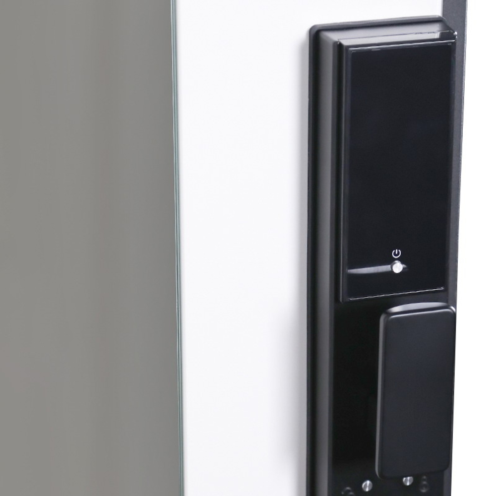 Стальная дверь "Бастион" с зеркалом (биометрический замок)