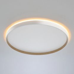 Citilux ETALON CL750500R LED RGB Светильник с пультом Белый+Бук