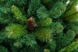 Искусственная сосна Байкальская с шишками 210 см., Леска+ПВХ, ЕлкиТорг (97210)