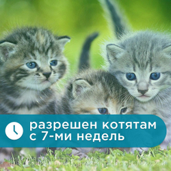 Капли на холку от блох, клещей и гельминтов для кошек менее 4 кг Гельминтал К SPOT-ON (Neoterica), 1пипетка Моксидектин/Празиквантел