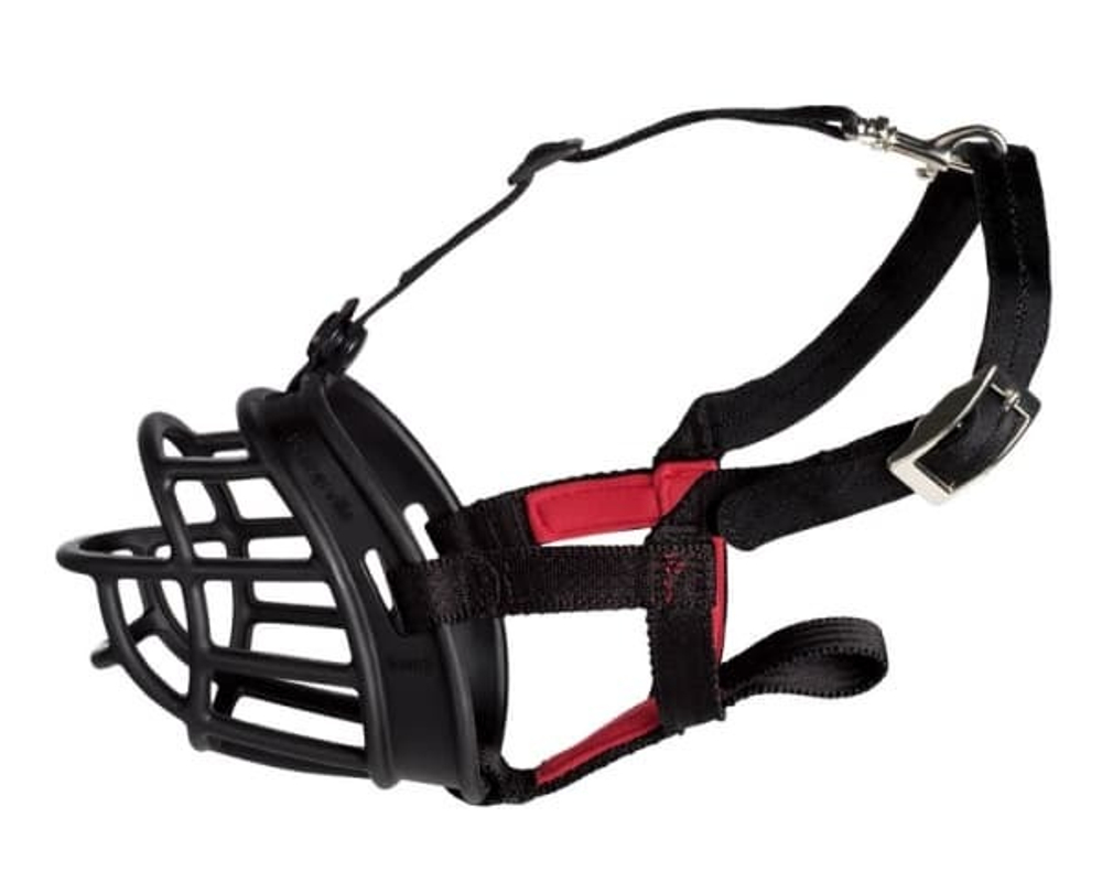 COA Baskerville №6