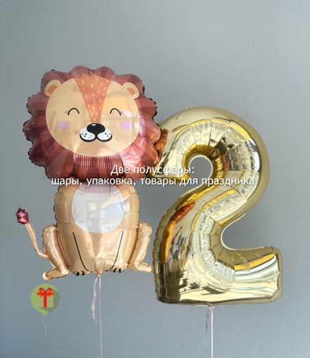 Набор шаров Лева
