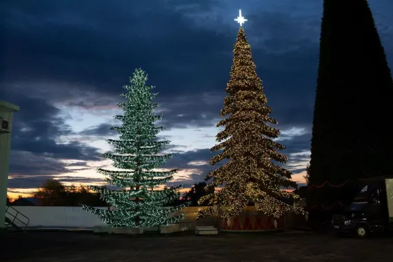 Уличная светодинамическая елка Лесная зеленая 14 м., ствольная, Литая, Green Trees (GT14LESPELED)