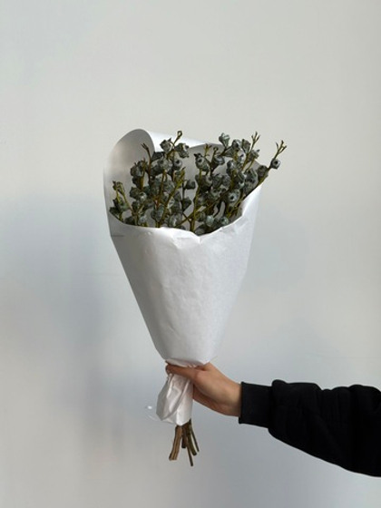 Охапка эвкалипта глобулус 5 шт