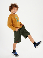 Шорты для мальчика спортивные на физкультуру CROOT