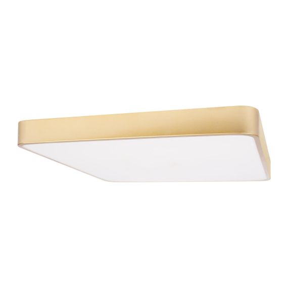 Потолочный светодиодный светильник Loft IT Flims 10228/D