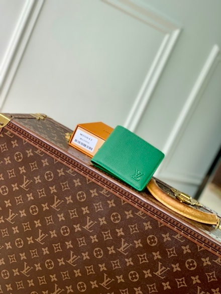 Louis Vuitton Multiple Wallet