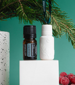 Набор doTERRA «Праздничный лес» диффузор-бутылочка и бальзамическая пихта (5 мл)
