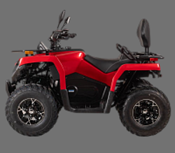 Квадроцикл Bizon YK250 LUX EFI