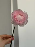 Ранункулюс в розовом оттенке