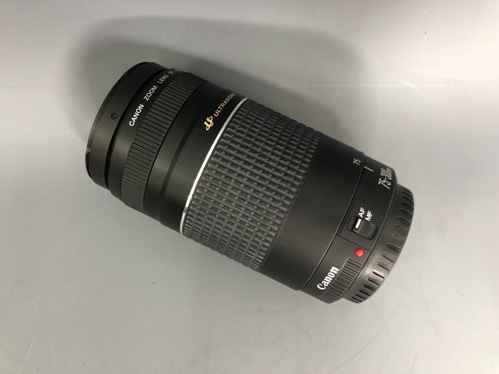 Canon EF 75-300mm 4-5.6 III