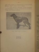 "Выбор, приобретение, содержание, дрессировка и натаска легавой". 1911г.