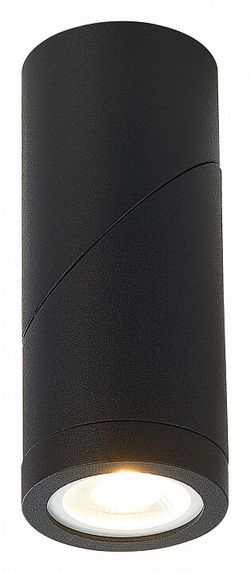 Светильник на штанге ST-Luce ST650 ST650.402.01