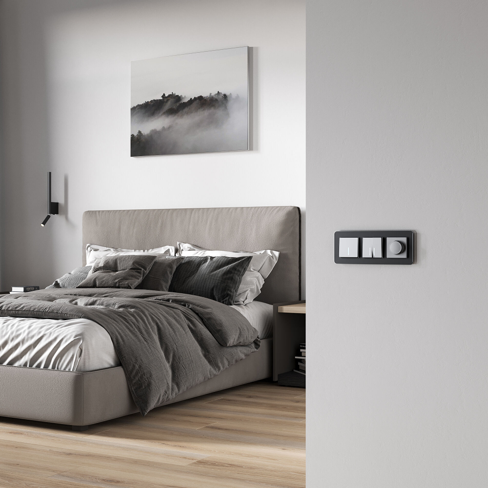 Диммер (серебряный матовый)