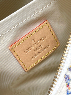 Louis Vuitton Speedy 20