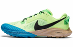 Кроссовки Nike Air Zoom Terra Kiger 6