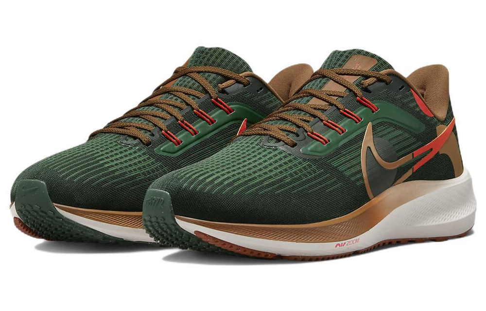Кроссовки Nike Air Zoom Pegasus 39 "A.I.R. Hola Lou"