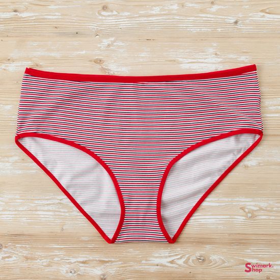 Трусики женские DOMINANT 54000-35, FULL BRIEF, 6 шт. в уп.