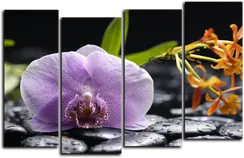 Модульная картина "Орхидея и черные камни"