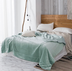 Плед двуспалка Мятный Барашка Велюр-Плюш 200х220