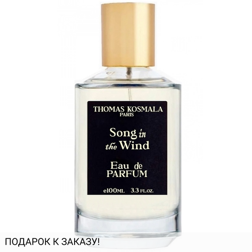 Thomas Kosmala Song In The Wind