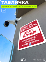 Табличка для частной территории "Частная собственность, доступ запрещен", на дом, для участка, организаций, предупреждающая, 40х30 см, Silver Plane x Айдентика Технолоджи