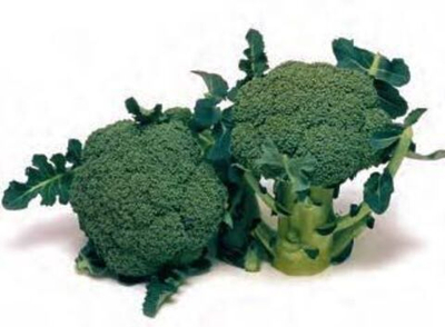 Маратон F1 семена капусты брокколи (Sakata / Саката)