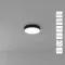 Потолочный светильник Arte Lamp FADO A6635PL-1BK
